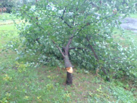 dsc00014.jpg